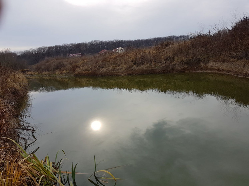 Snagov - Artha Park, teren intravilan 5.873mp intre padure si lac!