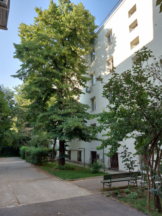 Apartamentul cu tei la geam, Floreasca - Barbu Văcărescu!