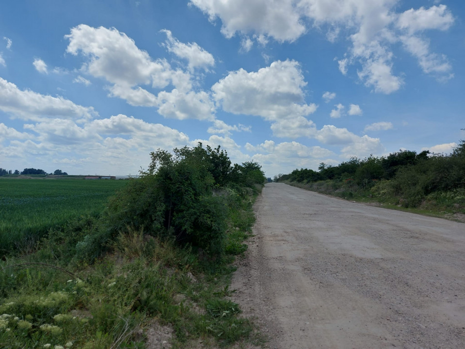 Clinceni, teren de 4.592mp la 1km de Centura București!