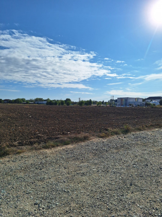Snagov- Ciofliceni, loturi de casă între 520-670mp, Șerban Cantacuzino!
