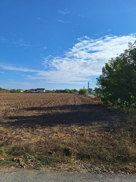 Snagov- Ciofliceni, loturi de casă între 520-670mp, Șerban Cantacuzino!