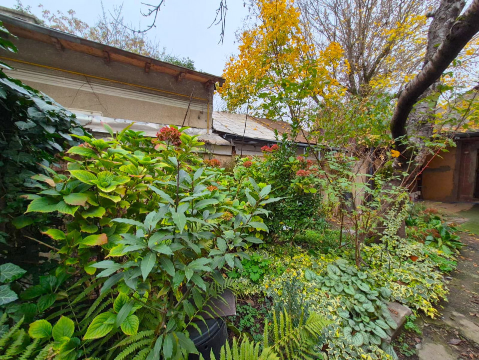 Casă parter 45mp utili și curte proprie lângă Parcul Regina Maria!