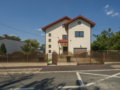 O proprietate imobiliară deosebită, formată din casă și mult teren! 