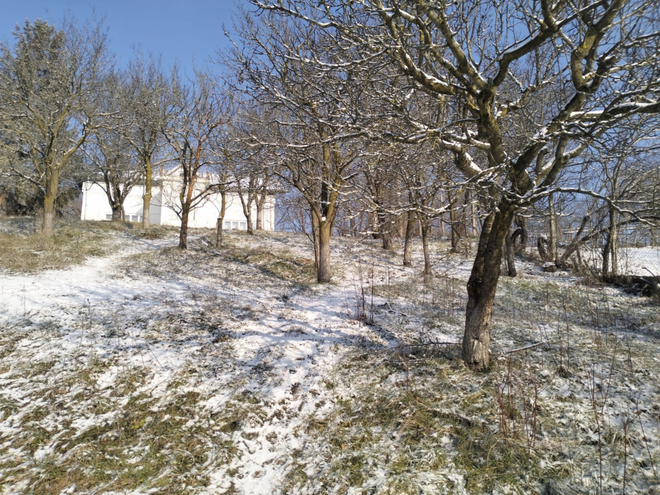 Moșia boierească din vârf de deal, Scorțeni - Prahova, comision 0%