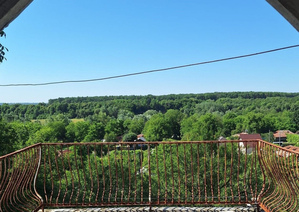 Moșia boierească din vârf de deal, Scorțeni - Prahova, comision 0%