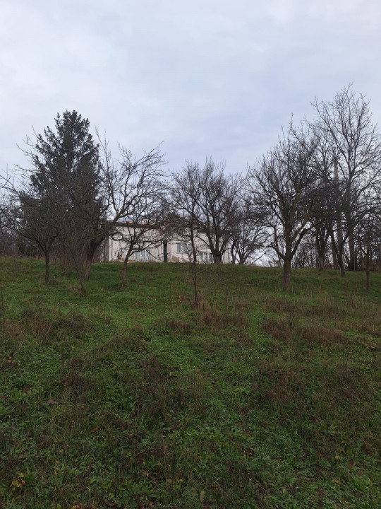 Moșia boierească din vârf de deal, Scorțeni - Prahova, comision 0%