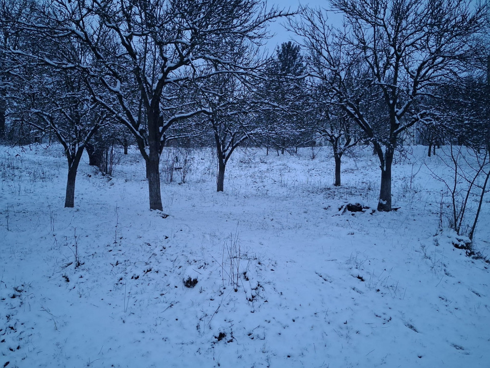 Moșia boierească din vârf de deal, Scorțeni - Prahova, comision 0%