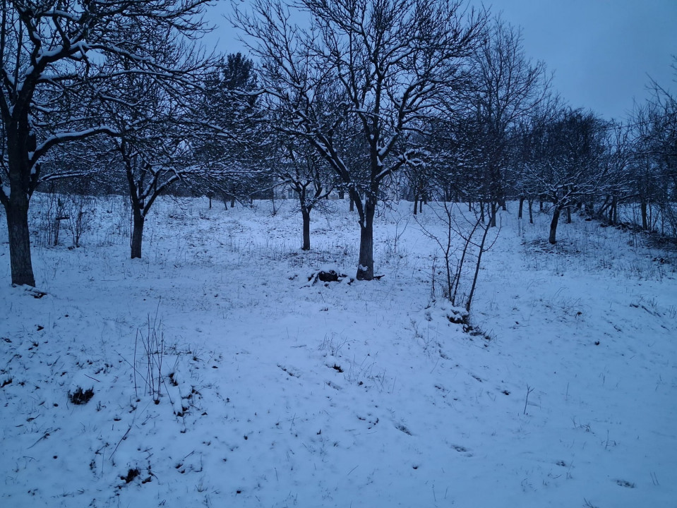 Moșia boierească din vârf de deal, Scorțeni - Prahova, comision 0%