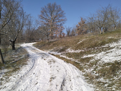 Moșia boierească din vârf de deal, Scorțeni - Prahova, comision 0%