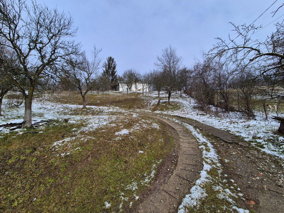 Moșia boierească din vârf de deal, Scorțeni - Prahova, comision 0%