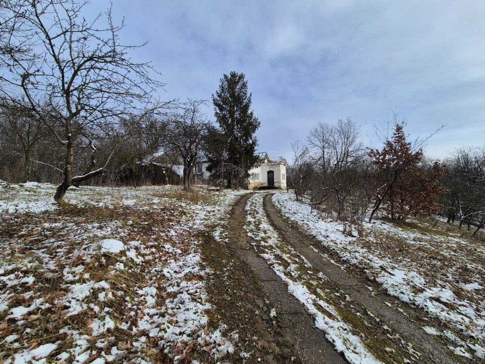 Moșia boierească din vârf de deal, Scorțeni - Prahova, comision 0%