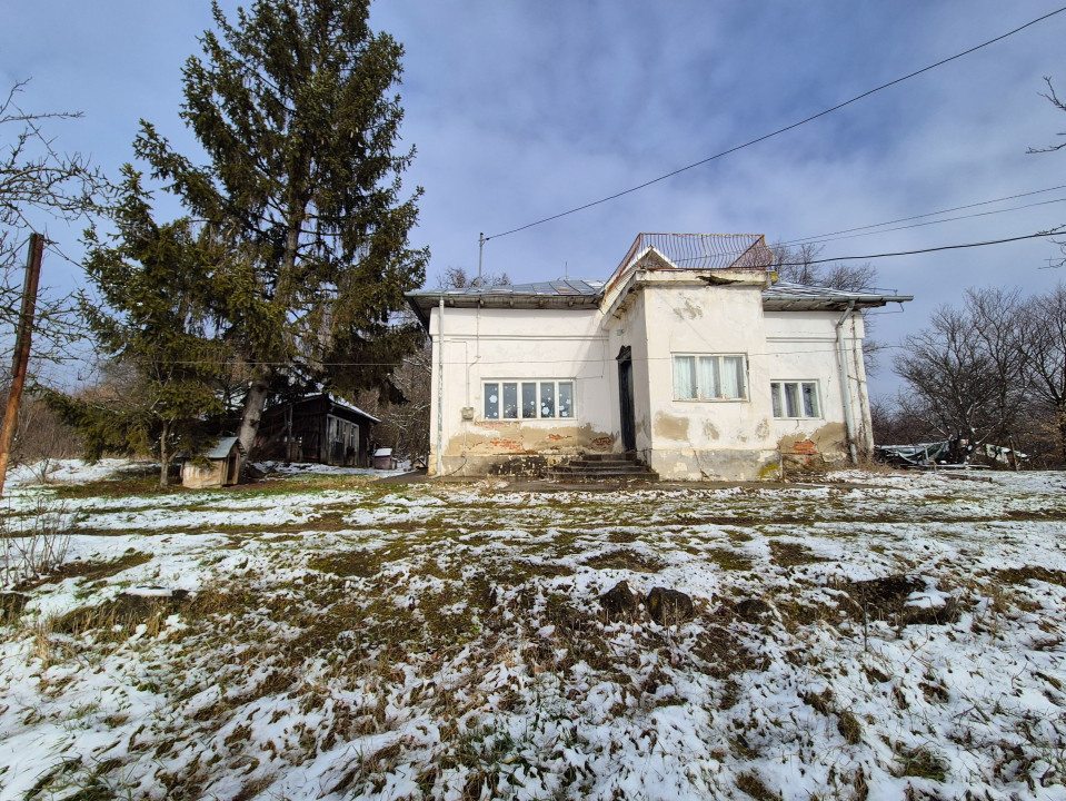 Moșia boierească din vârf de deal, Scorțeni - Prahova, comision 0%