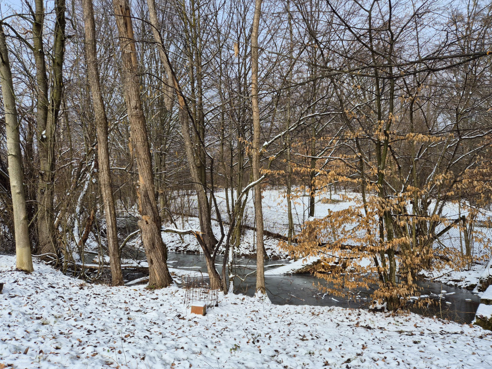 Moșia boierească din vârf de deal, Scorțeni - Prahova, comision 0%