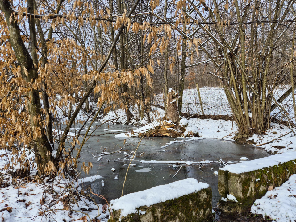 Moșia boierească din vârf de deal, Scorțeni - Prahova, comision 0%