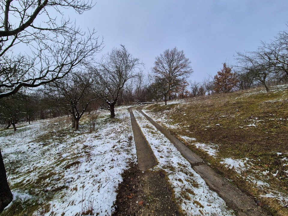 Moșia boierească din vârf de deal, Scorțeni - Prahova, comision 0%