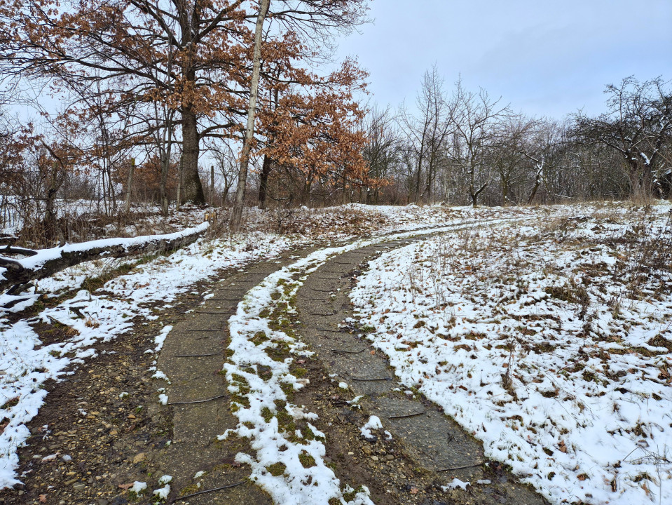 Moșia boierească din vârf de deal, Scorțeni - Prahova, comision 0%