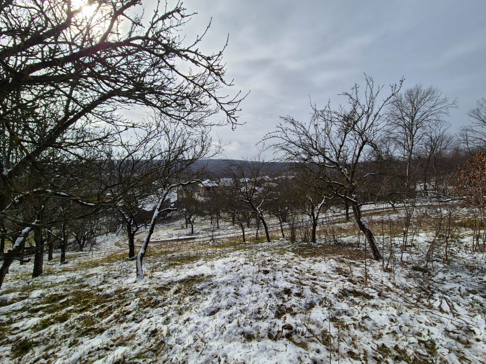 Moșia boierească din vârf de deal, Scorțeni - Prahova, comision 0%