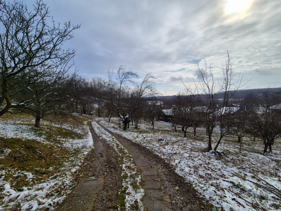 Moșia boierească din vârf de deal, Scorțeni - Prahova, comision 0%