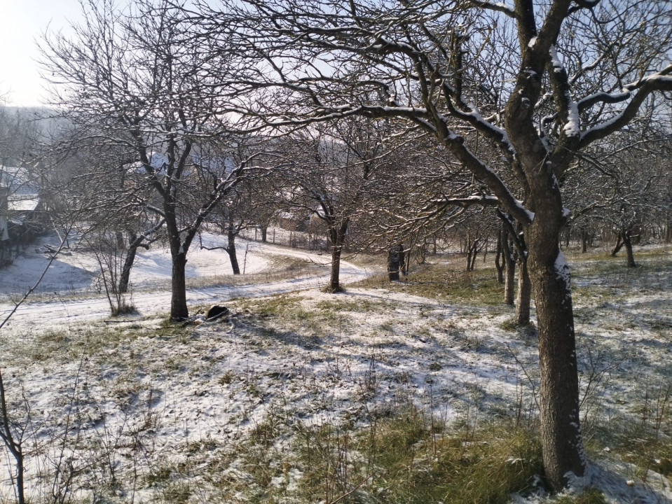 Moșia boierească din vârf de deal, Scorțeni - Prahova, comision 0%