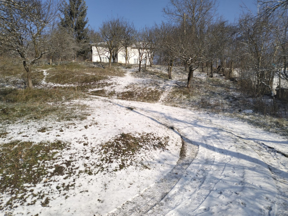 Moșia boierească din vârf de deal, Scorțeni - Prahova, comision 0%