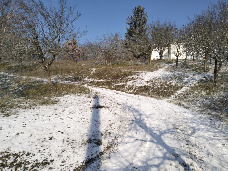 Moșia boierească din vârf de deal, Scorțeni - Prahova, comision 0%