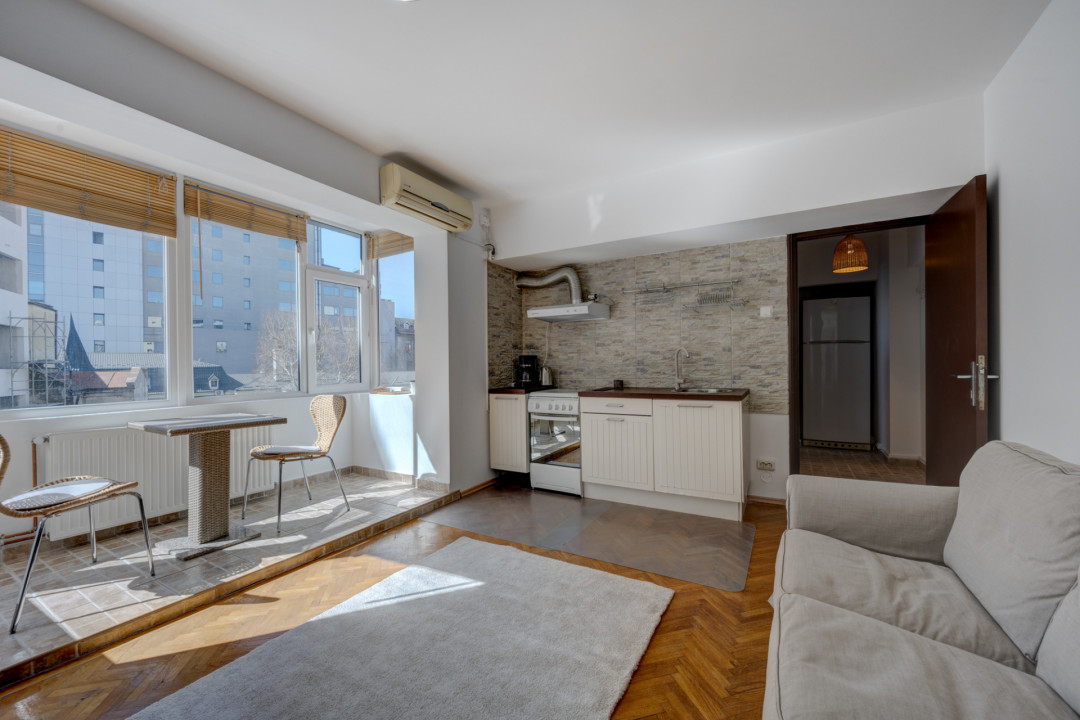 Garsonieră plină de lumină, Știrbei Vodă - Sala Palatului!